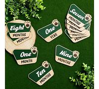 Huray Rayho 12 Pcs National Park Baby Monthly Milestone Cards Rustic Wooden Baby Months Signs Adventure Theme Newborn Photography Props for Baby Shower Mountain Hiking Lovers Pregnancy GiftL8