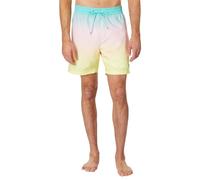Hurley Cannonball Volley 17", Pantalones Cortos DE LOS Hombres, Fiji,