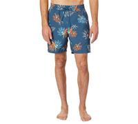 Hurley Cannonball Volley 17" Pantalones Cortos, Submarine, M para Hombre
