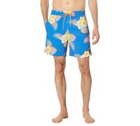 Hurley Cannonball Volley 17" Pantalones Cortos, Santiago, L para Hombre