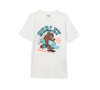 Hurley Hrlb Surfing Bear tee
