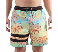 Hurley Phantom Eco Block Party Volley 17'' Bañador, Multicolor, L Men's
