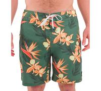 Hurley Phantom-Eco Classic 18" Bañador, Verde, 28 Men's