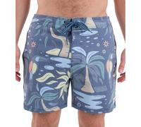Hurley Phantom Naturals Sessions 16' Bañador, Azul, 46 Men's