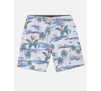 Hurley Phntm Naturals Wkndr 20' Pantalones Cortos, Azul Claro, W32 para Hombre