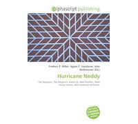 Hurricane Neddy: The Simpsons, The Simpsons (season 8), Ned Flanders, Steve Young (writer), Bob Anderson (director).