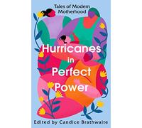 Hurricanes in Perfect Power: Tales of Modern Motherhood (Vintage Classics)