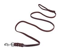 HUSHUI Correa para Perros, Cuerda Trenzada Duradera para Correr, Entrenar, Caminar, Adecuada para Actividades Al Aire Libre y Amantes de los Perros (La Longitud del Material es de 2,5 Metros y la)