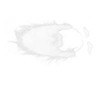 HUSHUI Juego de Barba Falsa Blanca con Elástico Ajustable para Eventos de Disfraces de Navidad de Halloween 3 Piezas