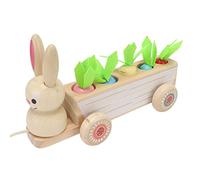 HUSHUI Juguete de Coche a Juego de Rábano para Niños Pequeños, Bonitas Zanahorias Educativas de Madera para Actividades de Aprendizaje Infantil en Casa