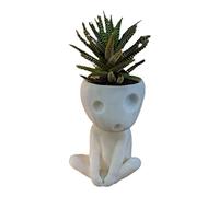 HUSHUI Maceta con Cabeza, Maceta con Cara Luminosa, Maceta con Agujero de Drenaje para Oficina, Hogar, Jardín