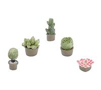 HUSHUI Maceta en Miniatura para Casa de Muñecas, Juego de 5 Lindas Plantas Suculentas para Decoración de Casa de Muñecas, Oficina, Dormitorio, Resina Sintética