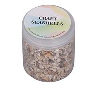 HUSHUI Pequeñas Conchas de Mar, Cuentas de Concha en Espiral No Porosas para Hacer Joyas y Manualidades, con Mini Conchas para Decoración Náutica, Fabricación de Velas y Decoración de