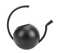 HUSHUI Regadera de Interior Elegante de Acero Inoxidable Negro de 1000 Ml para Plantas de Interior, Suculentas y Flores