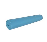 HUSHUI Rollo de Cubierta de Cama Facial, No Tejido, Suave, Desechable, 50 Tiras para Spa Club, Salón de Belleza, Rollo de Papel para Mesa de Masaje (Azul)