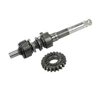 Husillo de Arranque para Motocicleta, 140, 150, 160 CC, Compatible con YinXiang YX KAYO BSE Apollo Orion SSR SDG GPX Dirt Pit Bikes