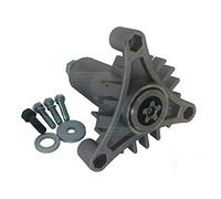 Husillo para AYP Electrolux Gardol Husqvarna Partner Roper 532130794 130794