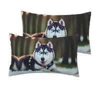 Husky Dog - Juego de 2 fundas de almohada de lino sintético suave con estampado de perro, tamaño Queen, 12 x 20 pulgadas, juego de 2 fundas de almohada estándar