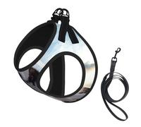 Husky Dogs - Arnés de verano para cachorros con reflectante, accesorios para perros y gatos pequeños, medianos y grandes