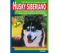 Husky Siberiano