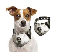 Husky Siberiano,Pañuelos de algodón para Perros, Bufandas Ajustables para Mascotas,S
