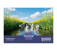 Husky Siberiano Puzle 1000pcs Cartón Ecológico - para Niños +14 Desarrollo Cognitivo Regalo Cumpleaños Difícil 52x38cm/1000pcs