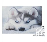 Husky Siberiano Puzzle Imposible,desafío para Adultos Cute Dog Entretenimiento Creativo 1000 Piezas Obra De Arte De Juego De para Adultos, Regalos A Partir De 14 Años 1000pcs (75x50cm)