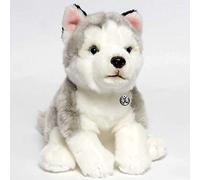 Husky Smila - Perro de trineo de Alaskan Malamute sentado