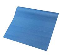 HUSL Esterilla Yoga Antideslizante, Esterilla para Yoga Universal, Espuma de Alta Densidad, Yoga Colchoneta Antideslizante para Pilates -173 x 61 x 0,4 cm (Púrpura) (AZUL)