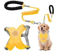 Husoiuy Arnés para Perros - Chaleco Ajustable Sin Ahogo | Estructura X Transpirable con Cuerda Reflectante - Accesorios para Paseo Entrenamiento Senderismo Camping Jogging Parque Viaje