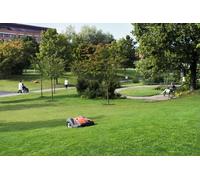 Husqvarna AM 550 Mähroboter Automower® 970 65 65-12 36 V Autopropulsado