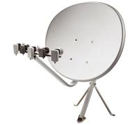 Hutchings, Ashley - Hutchings, Ashley Kickin' Up The Sawdust LP Harvest SHSP4073 M 1977 no sleeve