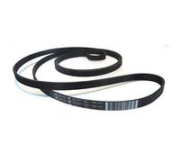 Hutchinson - Correa secadora de ropa 7PH 1971 (136603300)