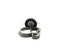 HUTCHINSON Juego de correas auxiliares servicios para RENAULT: Kangoo, Laguna, Mégane Classic, Mégane, Clio, Symbol - Thalia, Thalia (Ref: KHV 174)