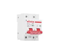 HUUOQIWY Disyuntor 2P CC 12 V, 24 V, 48 V, 60 V, 110 V, Interruptor de protección de batería, Cortocircuito Positivo y Negativo, 10 A, 20 A, 50 A, 100 A(80a)
