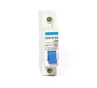 HUUOQIWY Disyuntor Solar Mini de 2 Polos CC 250 V, 6 A, 10 A, 16 A, 20 A, 25 A, 32 A, 40 A, 50 A, 63 A, MCB de CC for Sistema fotovoltaico (1 Unidad)(1P,50A)