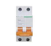 HUUOQIWY EA9N-2P Disyuntor Interruptor de Aire Disyuntor Interruptor(6 Years)