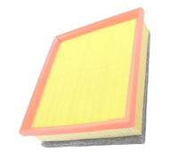 HUVNEXA Reemplazo del elemento limpiador filtro de aire for F20, F21, F22, F30, F31, F32, F34, F36, 114d, 118d, 13718511668, 17692679802 Filtro de aire para coche