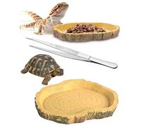 HUVZOR 2Pcs Reptil Cuenca tazón de Comida Reptil Crecimiento terrario Cuenco Reptiles Agua y Comida Con pinzas para Escalada Mascota Tortuga Camaleón Lagarto Serpiente