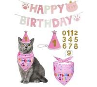 HUVZOR 4 PCS Set de Gorro de Cumpleaños de Gato,Gorro de Cumpleaños Perro,Babero de Cumpleaños con Banner Happy Birthday,Rosa Traje de cumpleaños para Mascotas para Gatos y Perros Pequeños