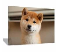 HUYEEI Cuadro En Lienzo Cachorros Shiba contemplando Carteles de perro animales e impresiones, Adecuado para sala de estar, dormitorio, etc.（amarillo154-60x90cm Enmarcado