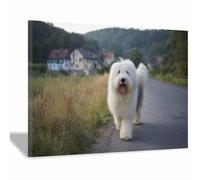 HUYEEI Cuadro En Lienzo Perros caminando por la carretera Carteles de perro animales e impresiones, Adecuado para sala de estar, dormitorio, etc.（blanco-20x30cm Enmarcado