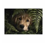 HUYEEI Cuadro En Lienzo Perros escondidos entre helechos Carteles de perro animales e impresiones, Adecuado para sala de estar, dormitorio, etc.（verde34-20x30cm Sin marco