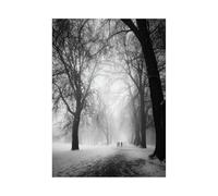 HUYEEI Cuadros Blancos Y Negros Caminando por el bosque brumoso posters decorativos, Adecuado para sala de estar, Pasillo del baño del apartamento etc.（En blanco y negro-70x100cm Sin marco
