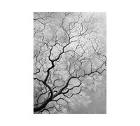 HUYEEI Cuadros Blancos Y Negros Ramas que enredan el cielo posters decorativos, Adecuado para sala de estar, Pasillo del baño del apartamento dormitorio etc.（En blanco y negro-70x100cm Sin marco
