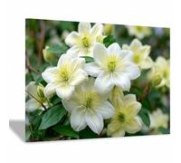 HUYEEI Grandes impresiones de pinturas de la naturaleza Flores agrupadas cuadro de paisajes, decoración moderna de sala de estar, del pasillo del comedor（blanco104-20x30cm Enmarcado