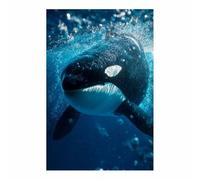 HUYEEI Impresión En Lienzo Océano Ballena de lomo negro De Obras De Arte Moderno, Fácil De Colgar Para Sala De Estar Despacho Sala De Reuniones Entrada（blanco y negro175-60x80cm Sin marco