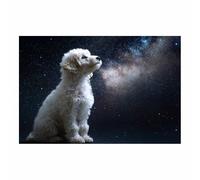HUYEEI perro Cuadro En Lienzo Perro contemplando las estrellas Cuadros Decoracion Pinturas, Murales Modernos Impresiones Para Dormitorio Salon Poster（blanco05-60x90cm Sin marco