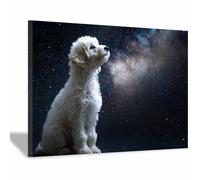 HUYEEI perro Cuadro En Lienzo Perro contemplando las estrellas Cuadros Decoracion Pinturas, Murales Modernos Impresiones Para Dormitorio Salon Poster（blanco05-20x30cm Enmarcado