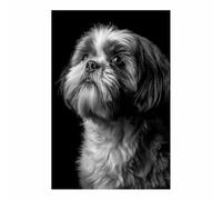 HUYEEI perro Cuadro En Lienzo Perro mirando al cielo Cuadros Decoracion Pinturas, Murales Modernos Impresiones Para Dormitorio Salon Poster（blanco y negro-60x80cm Sin marco